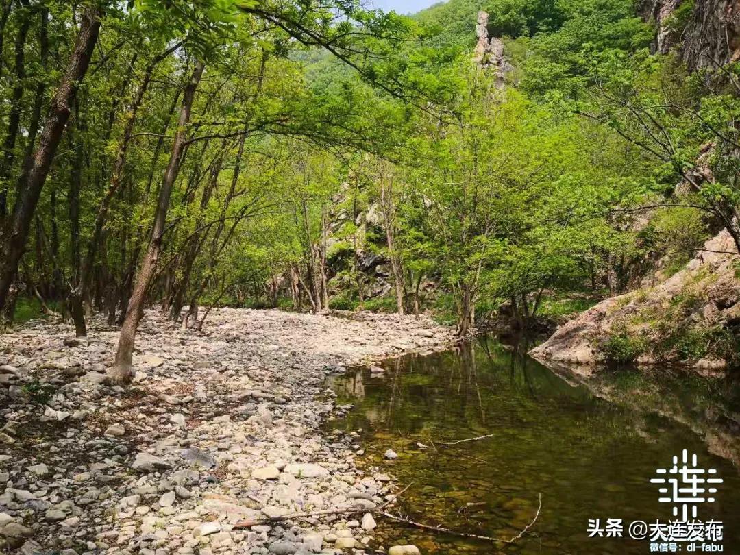 大连最美赏槐露营地,槐之乡露营地