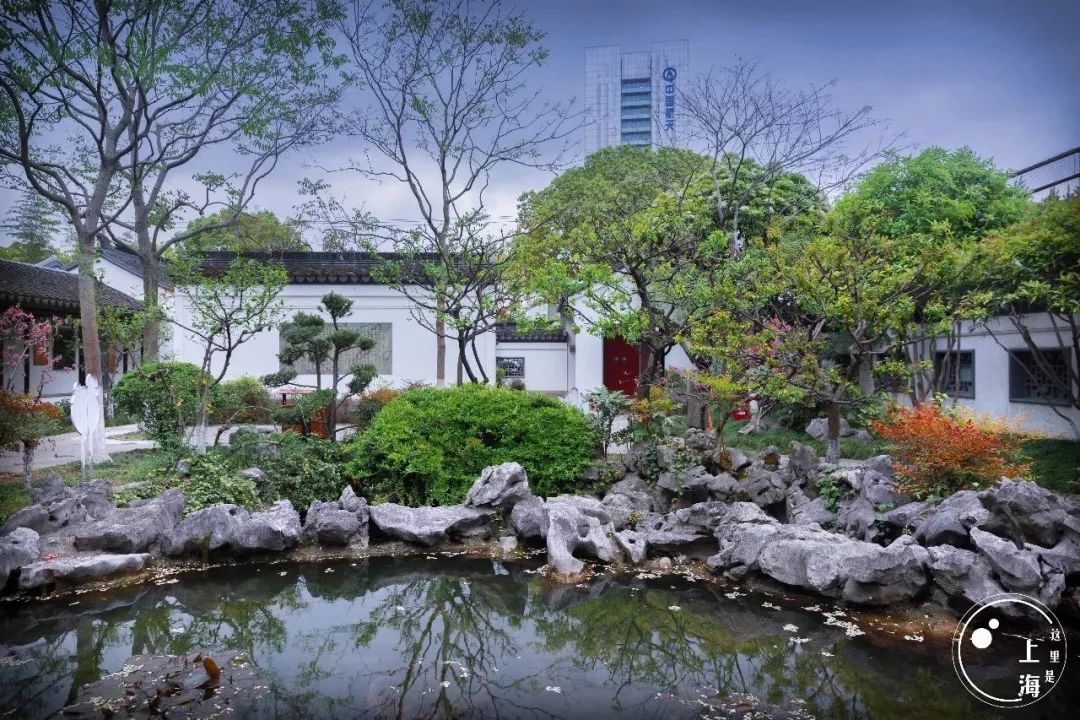 上海宋城免费景点,上海一日游攻略必去景点免费