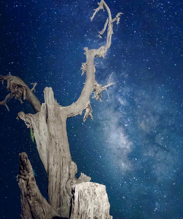 香!vivo把“鸡头*法大**”嵌入手机