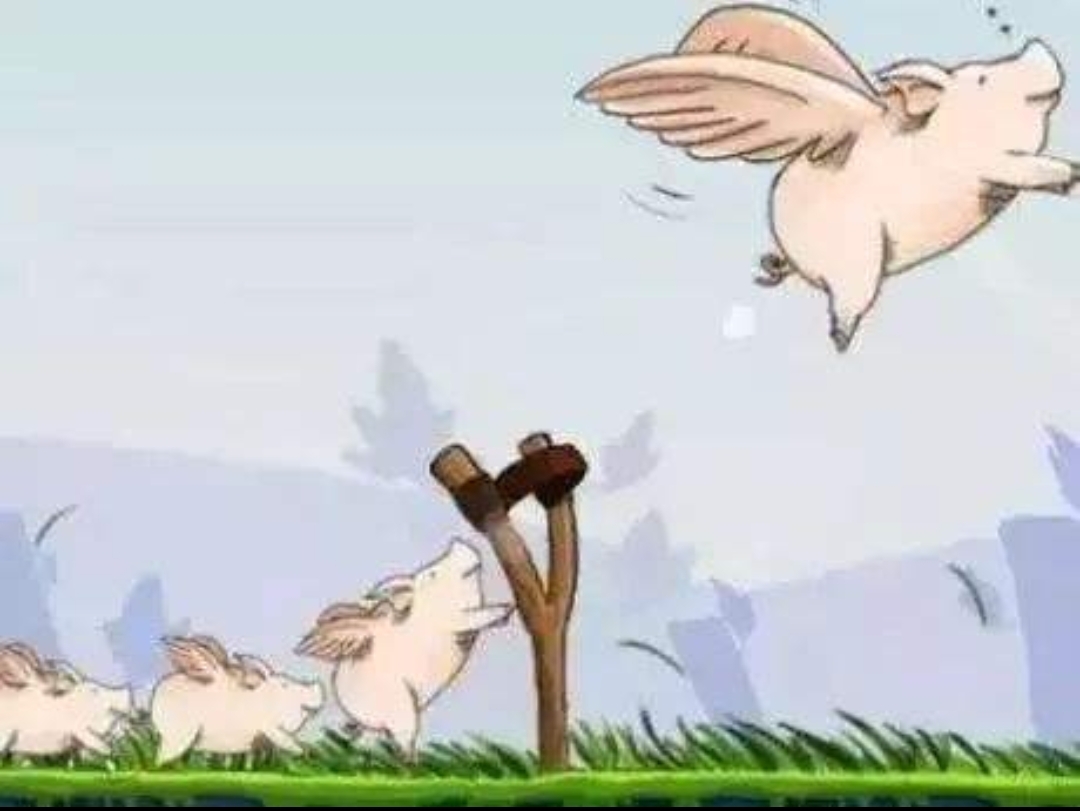 创业选项目不要盲目跟风,创业盲目跟风