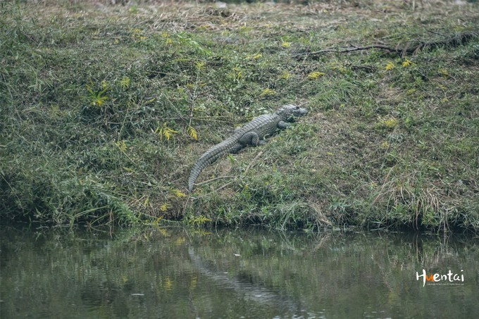 周末自驾游安徽郎溪,门票只花了30块,其它都是原生态秘境
