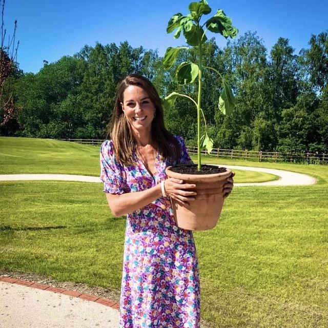 西班牙王后穿搭近照,西班牙王后凯特王妃同款连衣裙