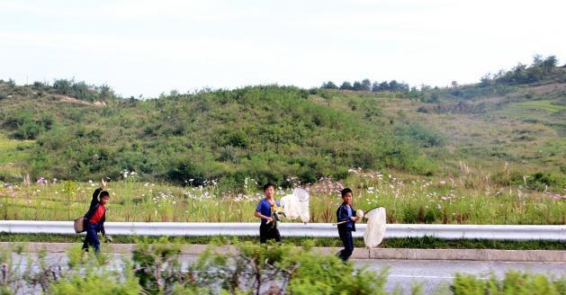 追忆我在朝鲜生活的日子17,追忆我的朝鲜生活全集