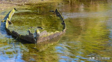 椋庤嵎鑺辫,椋庤嵎鐩告亱
