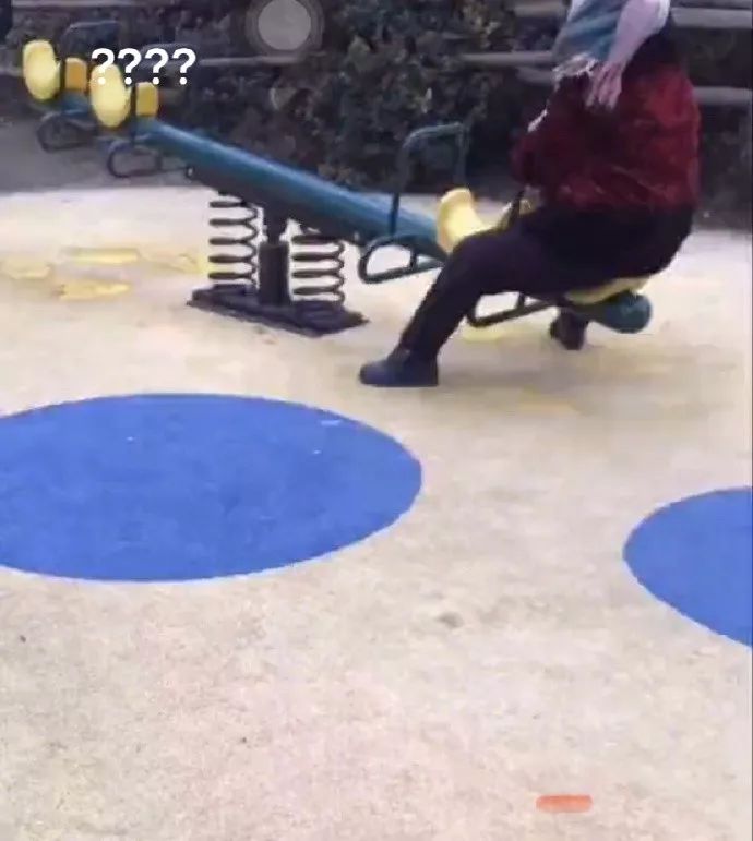 鱿鱼墨鱼乌贼八爪鱼章鱼的区别,墨鱼与鱿鱼章鱼八爪鱼有什么区别