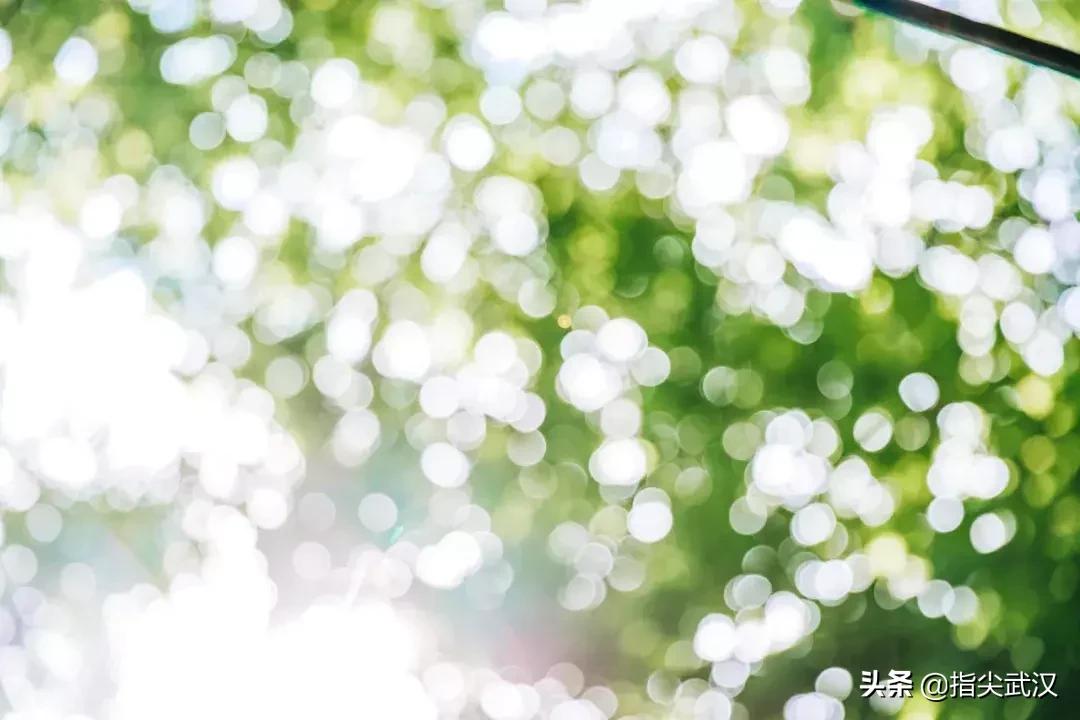 一家高逼格的咖啡店武汉,完美攻略一次打卡武汉7家咖啡馆