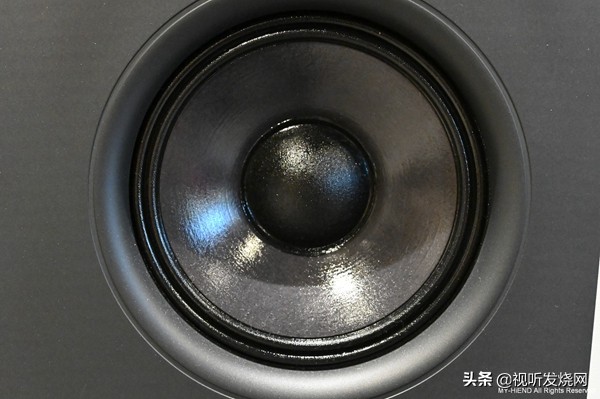 瑞士之声最新款5号音箱价格,瑞士之声最新款5号音箱