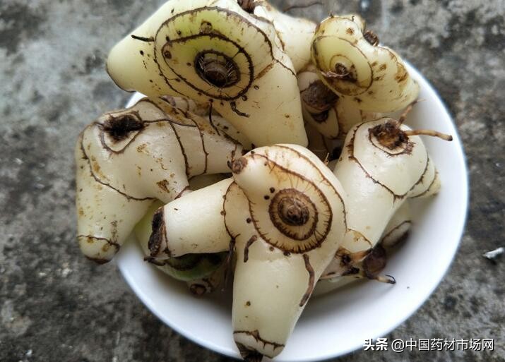 云南昆明中药材交易市场行情报价,云南中药材市场有哪些