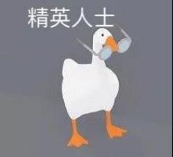 盘点沙雕模拟器的玩法,沙雕游戏大鹅