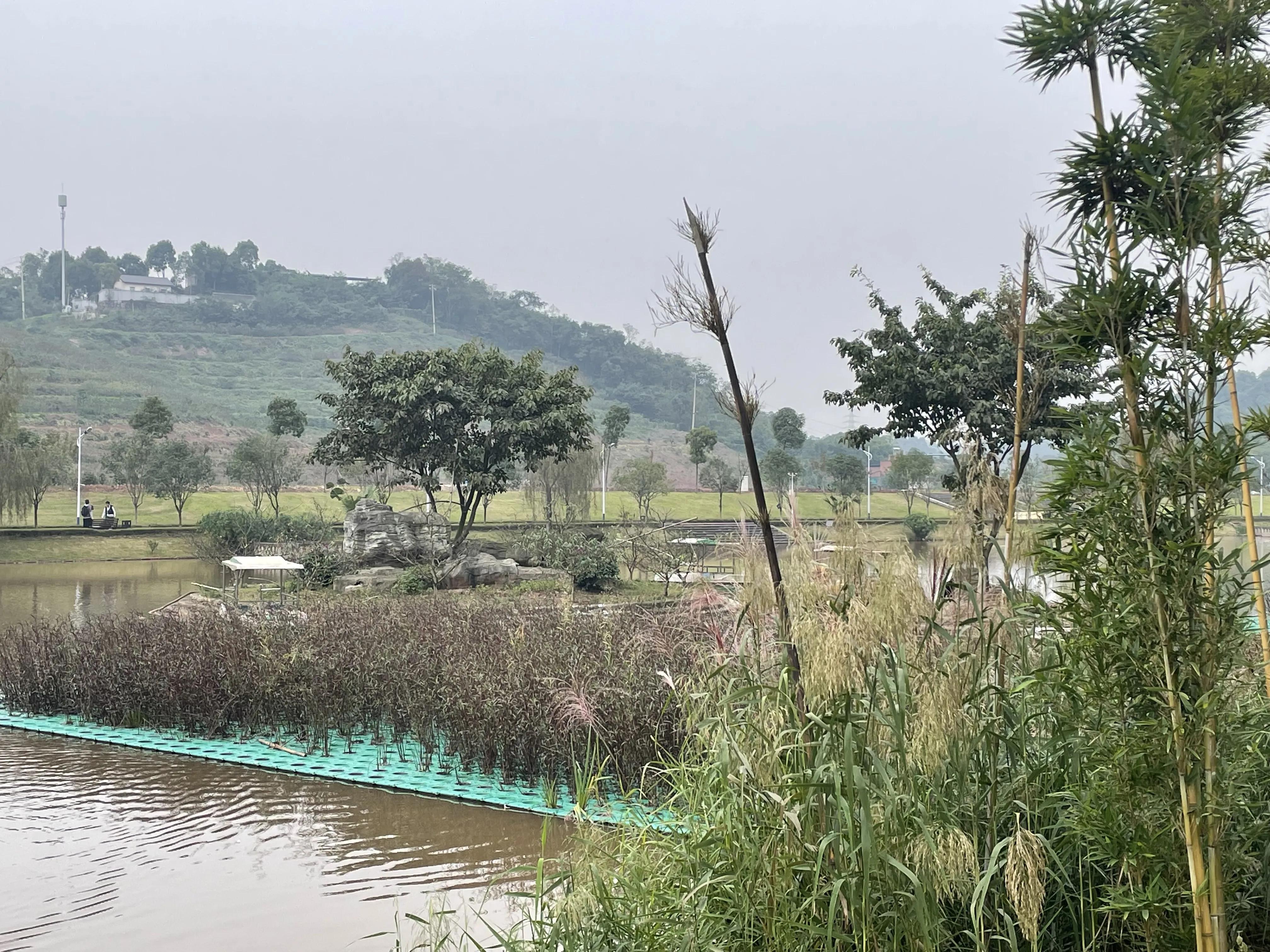 如何做一个合格的大学生家长,如何做一个合格的大学生演讲稿