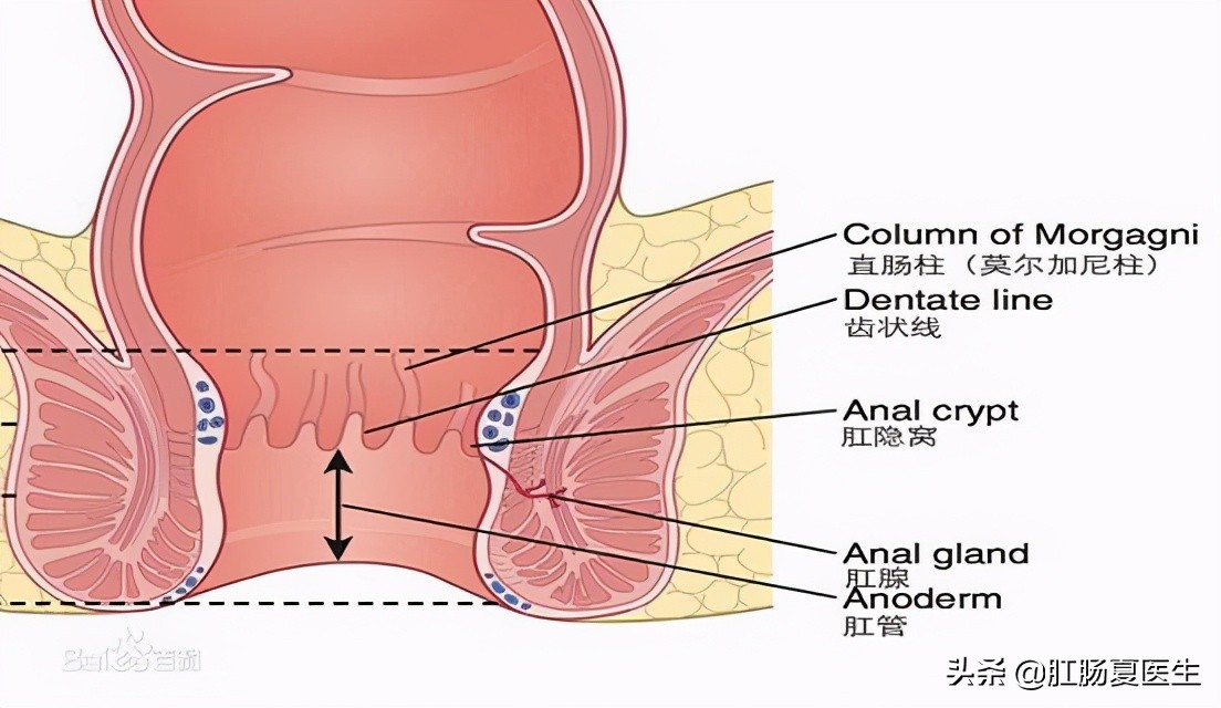 肛周脓肿是什么毛病严重吗,肛周脓肿男生大哭