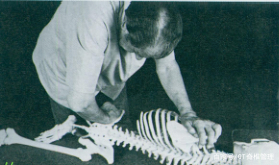 产后骨盆错位矫正办法,骨盆旋转错位怎么恢复