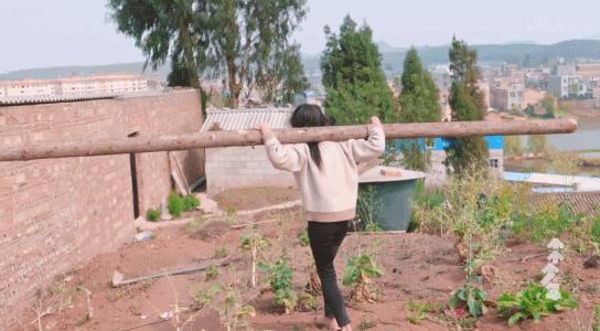 全员内卷，我更要吹爆这国产9.8