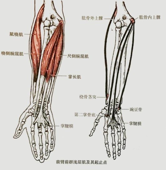 太极札记96,太极札记62