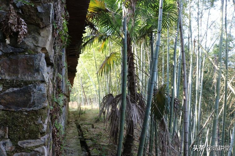 赣州峰山附近一日游自驾游景点,赣州峰山美景