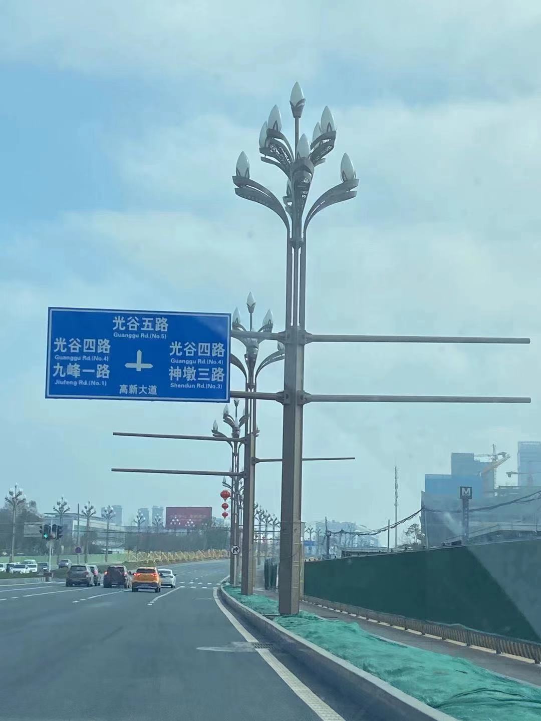湖北省政协常委叶青调研光谷中心城5G智慧路灯项目