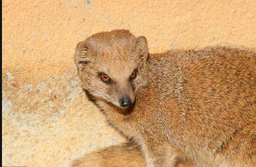请神容易送神难这句话的典故,请神容易送神难的传说