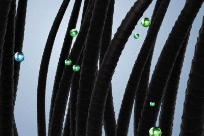 戚薇推荐的生姜洗头露,戚薇最近晒出的一款洗发露