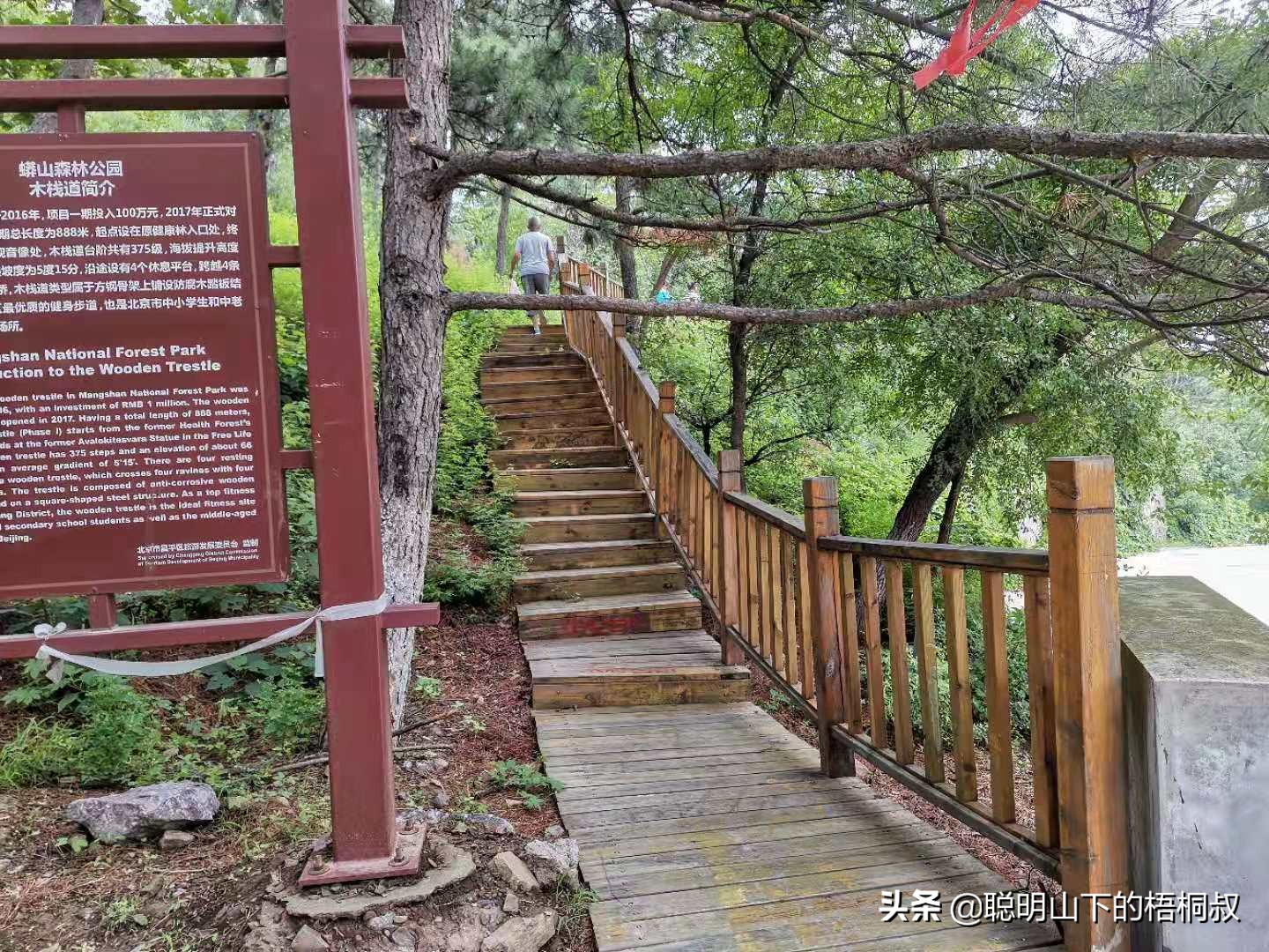 蟒山国家森林公园自由行攻略,北京蟒山森林公园游玩攻略