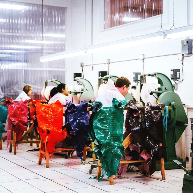 鳄鱼皮具真品图,鳄鱼皮具是真的吗