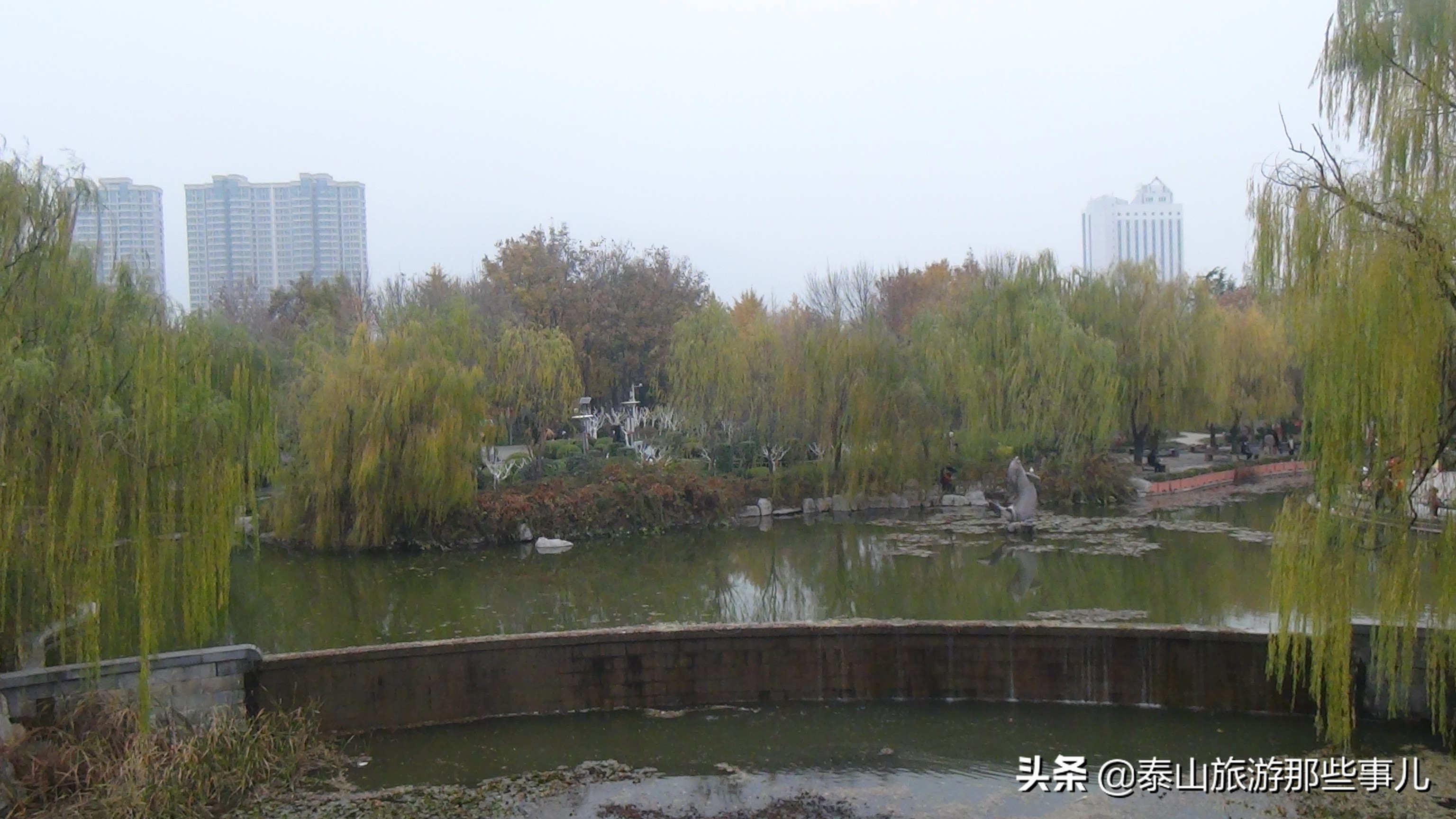 *安泰**老城区一处绿地公园，水华流韵景色美，冬日休闲观光好去处