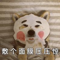 补水面膜推荐2020,超实用补水保湿面膜有哪些