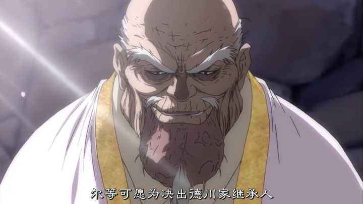 甲贺法忍帖忍实力,甲贺忍法贴法天善有没有得逞