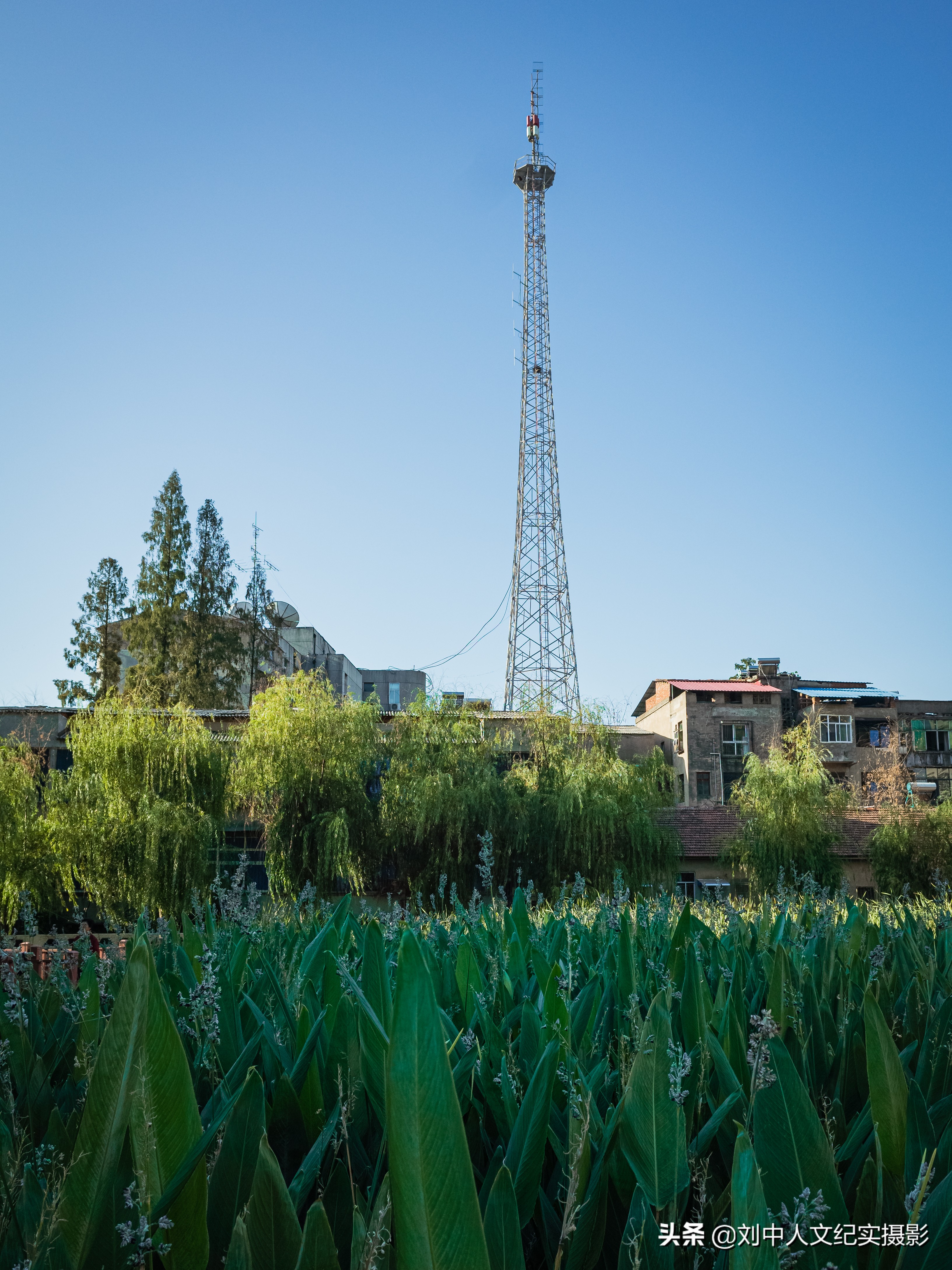 “无陂不成镇”—长期人文摄影(二)—2019年,夏,武汉黄陂前川