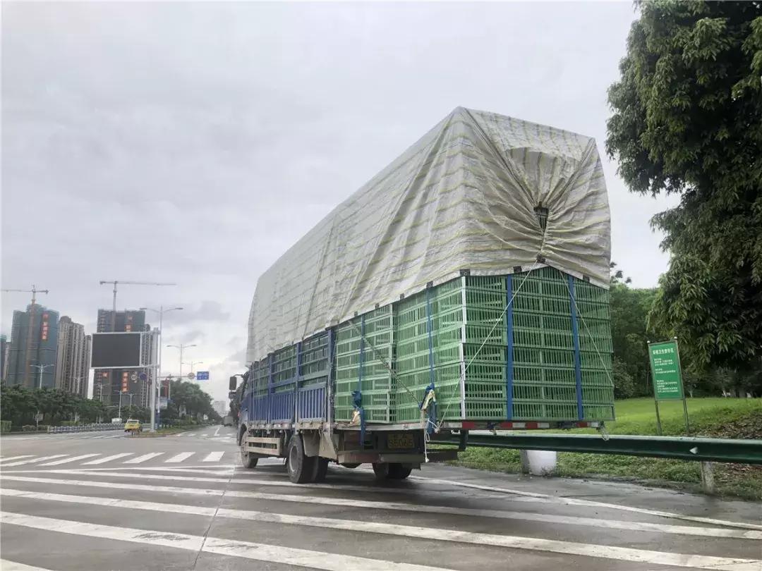 货车一次性扣12分,货车一次性扣12分最新处理