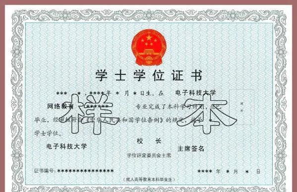 网络教育本科是不是脱产,网络教育本科是成人教育吗