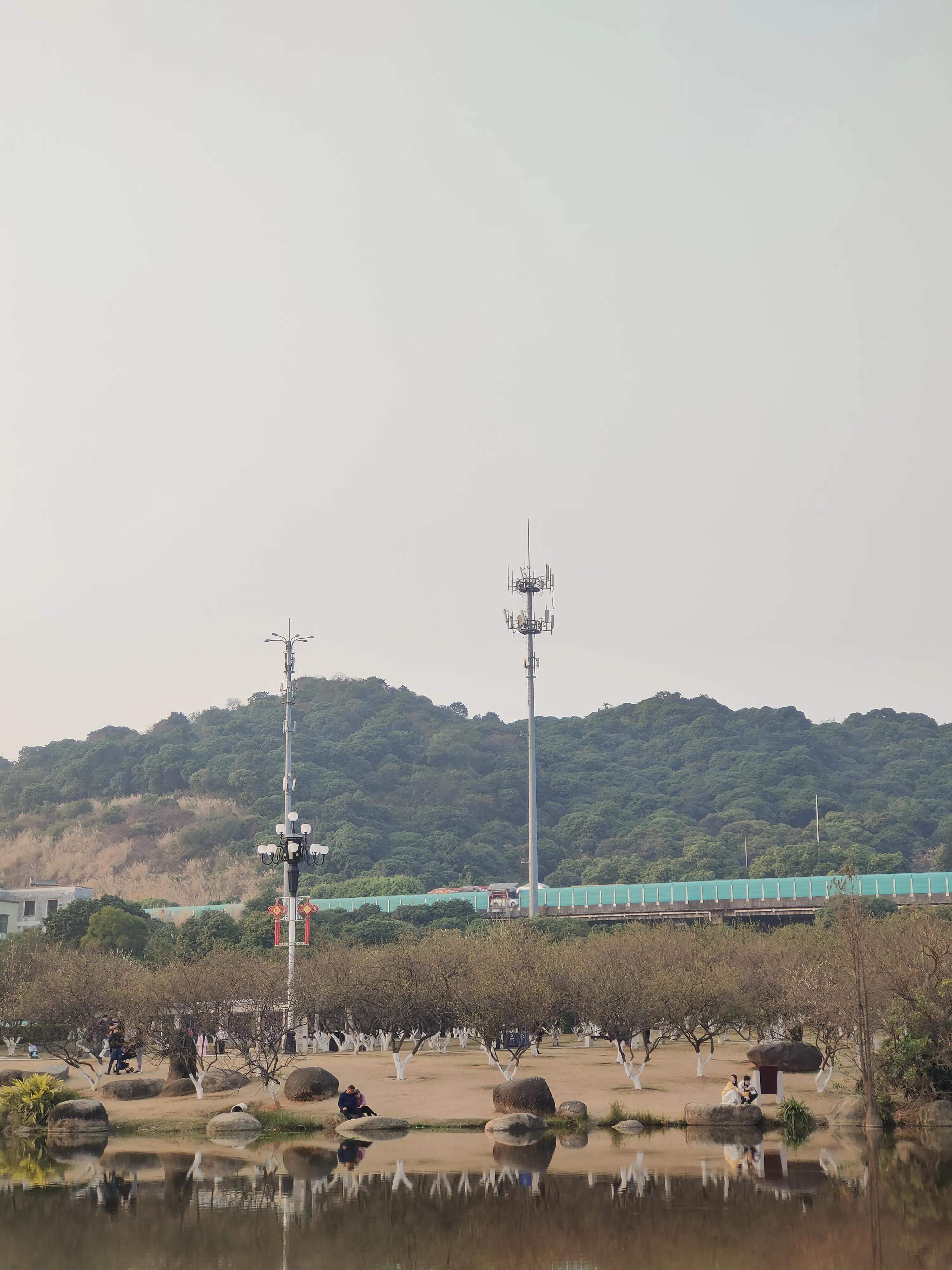 偌大的城市我的栖身之处在何处,偌大的城市容不下一个漂泊的灵魂