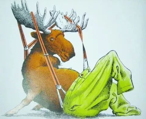 绘本推荐|《动物绝对不应该穿衣服》超级搞笑又有创意的绘本