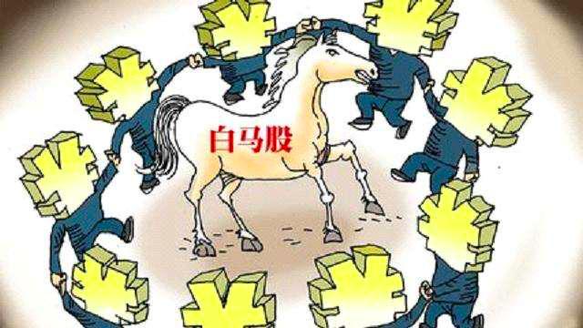 v视角投资什么股票,深度分析白马大蓝筹