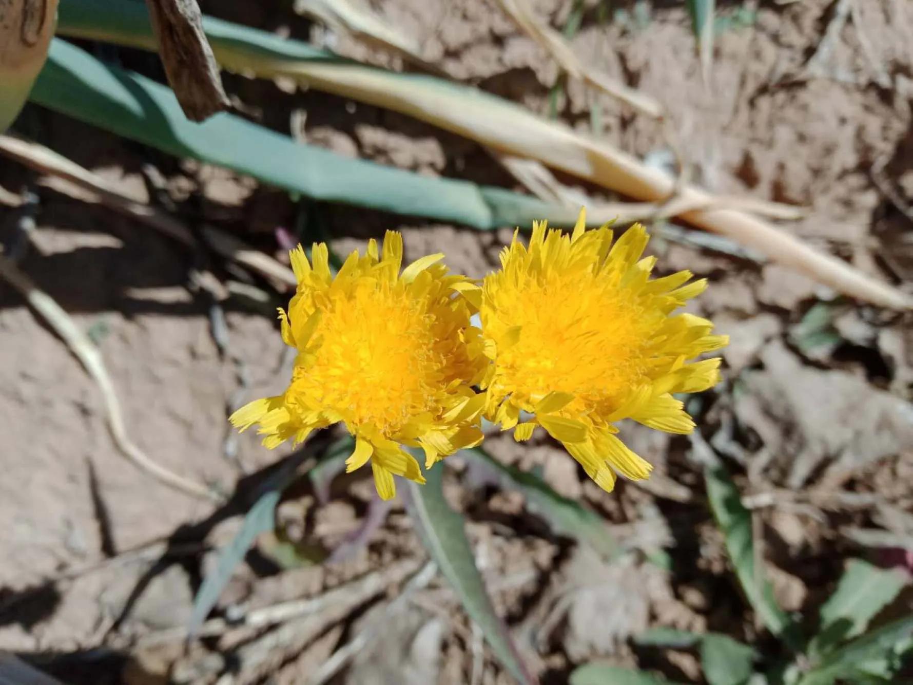 碧岩龙泉山庄,万柏林龙泉山庄