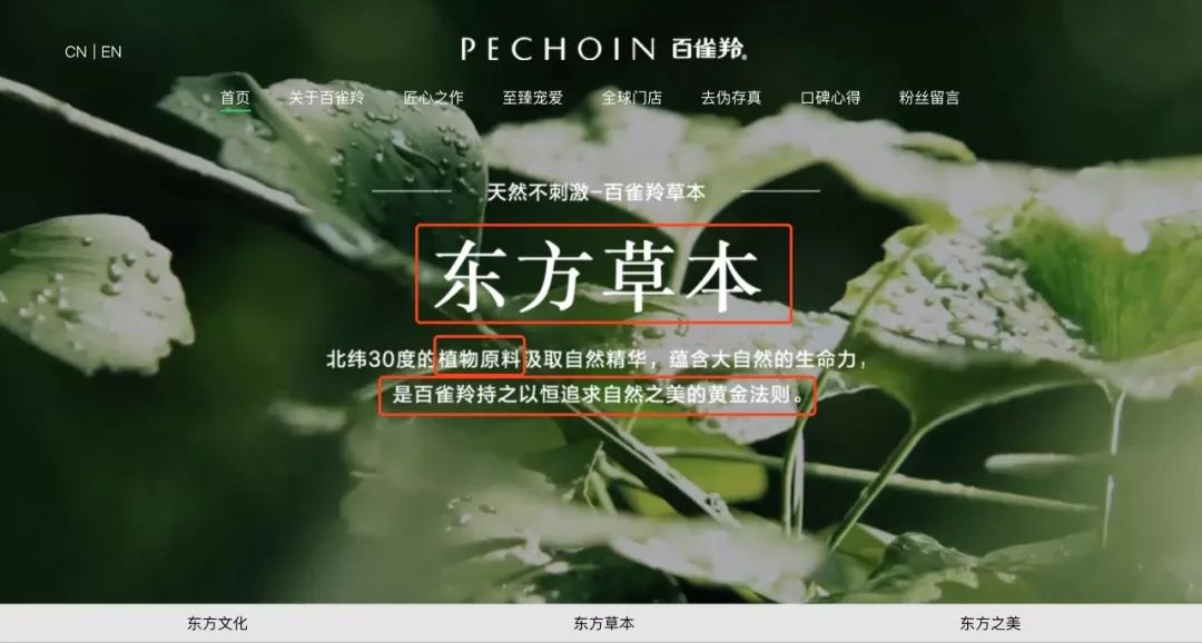 被大牌埋没的老牌国货护肤,十大被低估的国货护肤