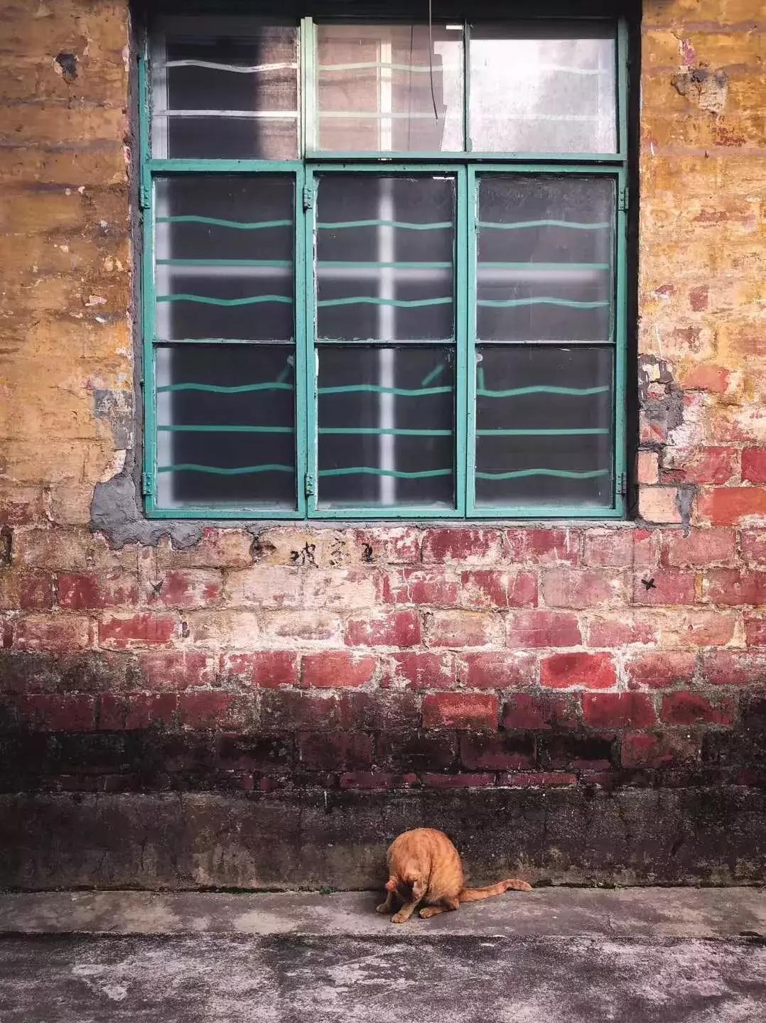 广州红专厂,再见了红蜻蜓