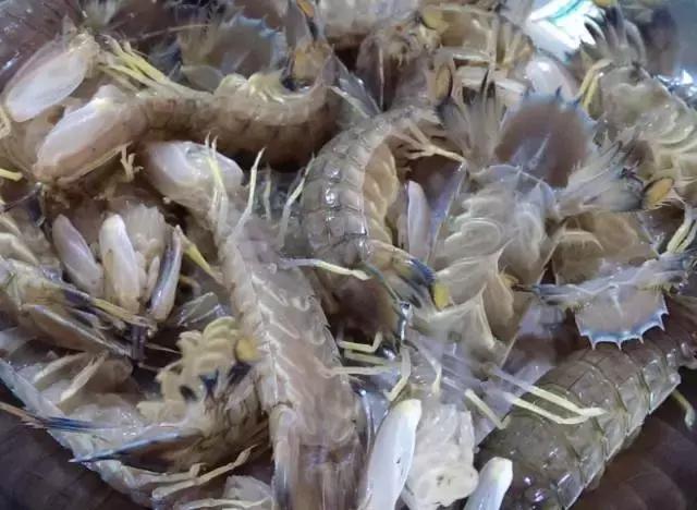 防城港怎么吃海鲜便宜不被坑,防城港干货海鲜有哪些