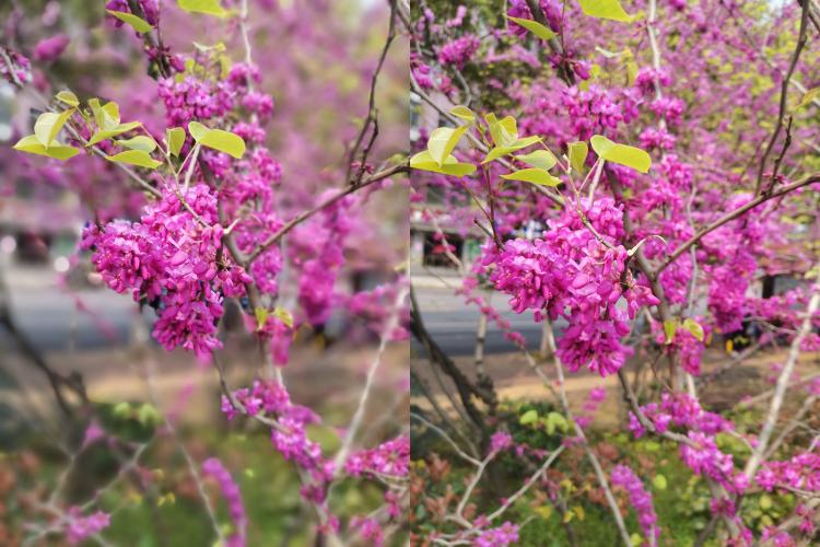 荣耀9x四个月评测,荣耀9x和荣耀x10现在还能用吗