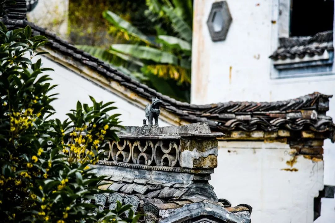 中国最美秋色篁岭晒秋,篁岭体验闻名遐迩的晒秋