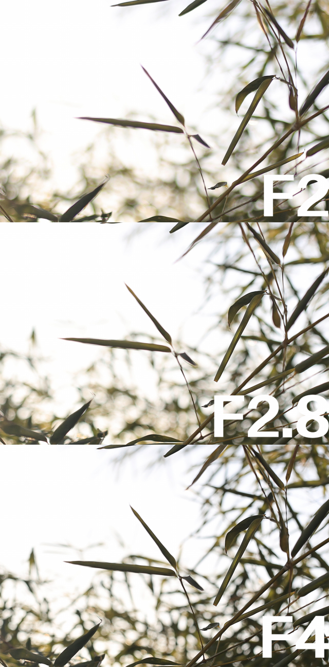 佳能rf70200f2.8和f4哪个好,佳能rf15-35f2.8测评