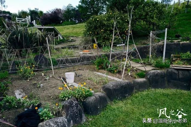 十几年的夫妻感悟,十年的老华人含泪感悟