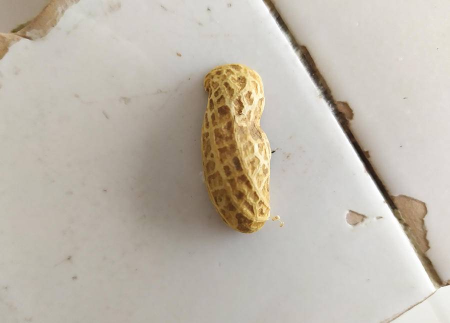 同样是电动牙刷,凭什么它可以卖上千块