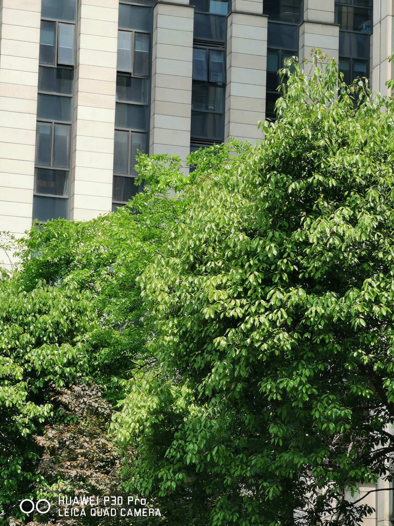 华为p30相机参数是多少,一张图告诉你华为p30拍照