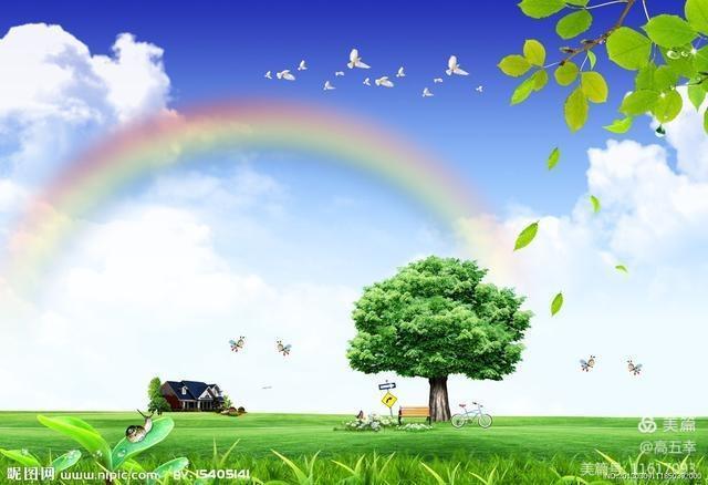 高五幸：收蛋的女人（小说）