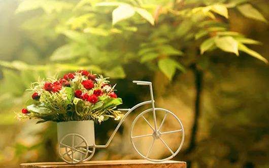 凤凰男可以找富家女结婚吗,凤凰男能娶个什么样的女人