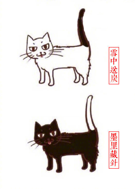 黄狸花猫咪名字,猫咪老师的花名有哪些
