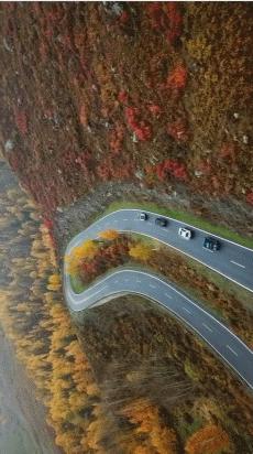 阿勒泰秋季旅行,新疆旅行阿勒泰秋天