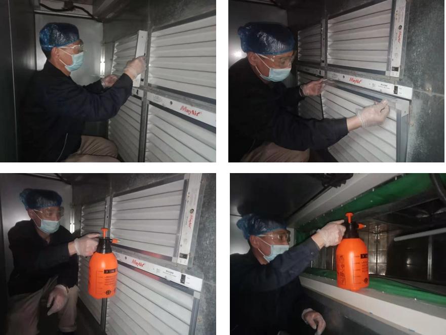 无惧狂沙卷土重来，金茂绿建为家筑起“绿色长城”