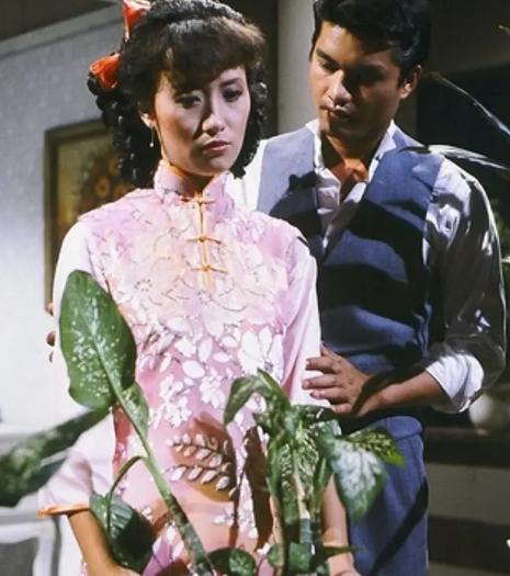 100部经典万水千山总是情港剧,重温经典万水千山总是情电视剧