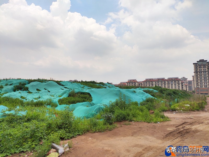青岛亚洲杯足球场周边规划,亚洲杯青岛青春足球场